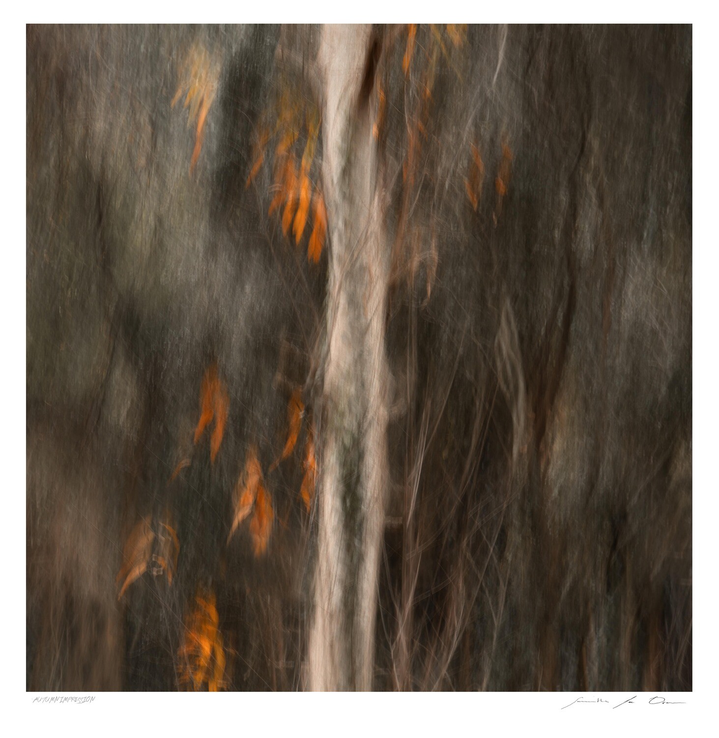 Autumn Impression | Samantha Lee Osner Autumn Impression | Samantha Lee Osner