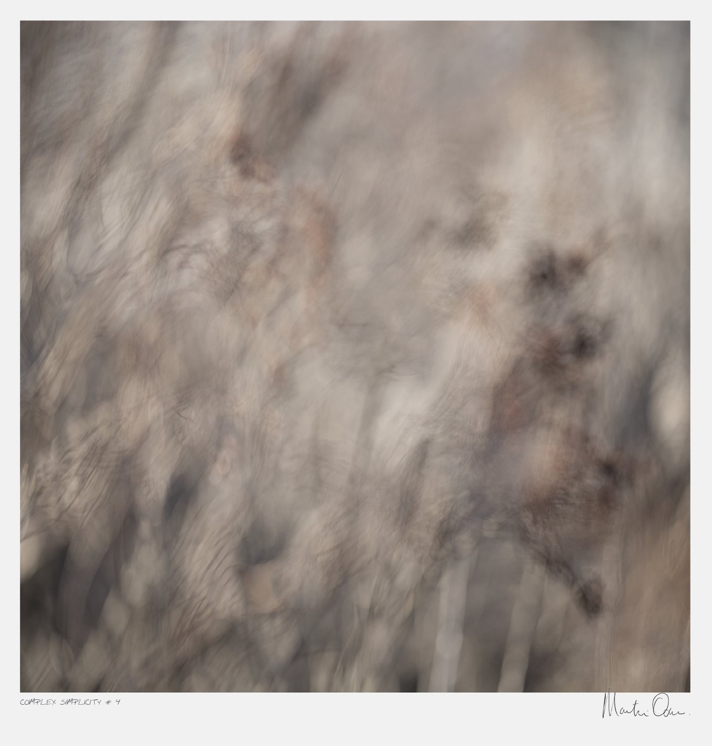 After the Fire No.4 | Martin Osner After the Fire No.4 | Martin Osner