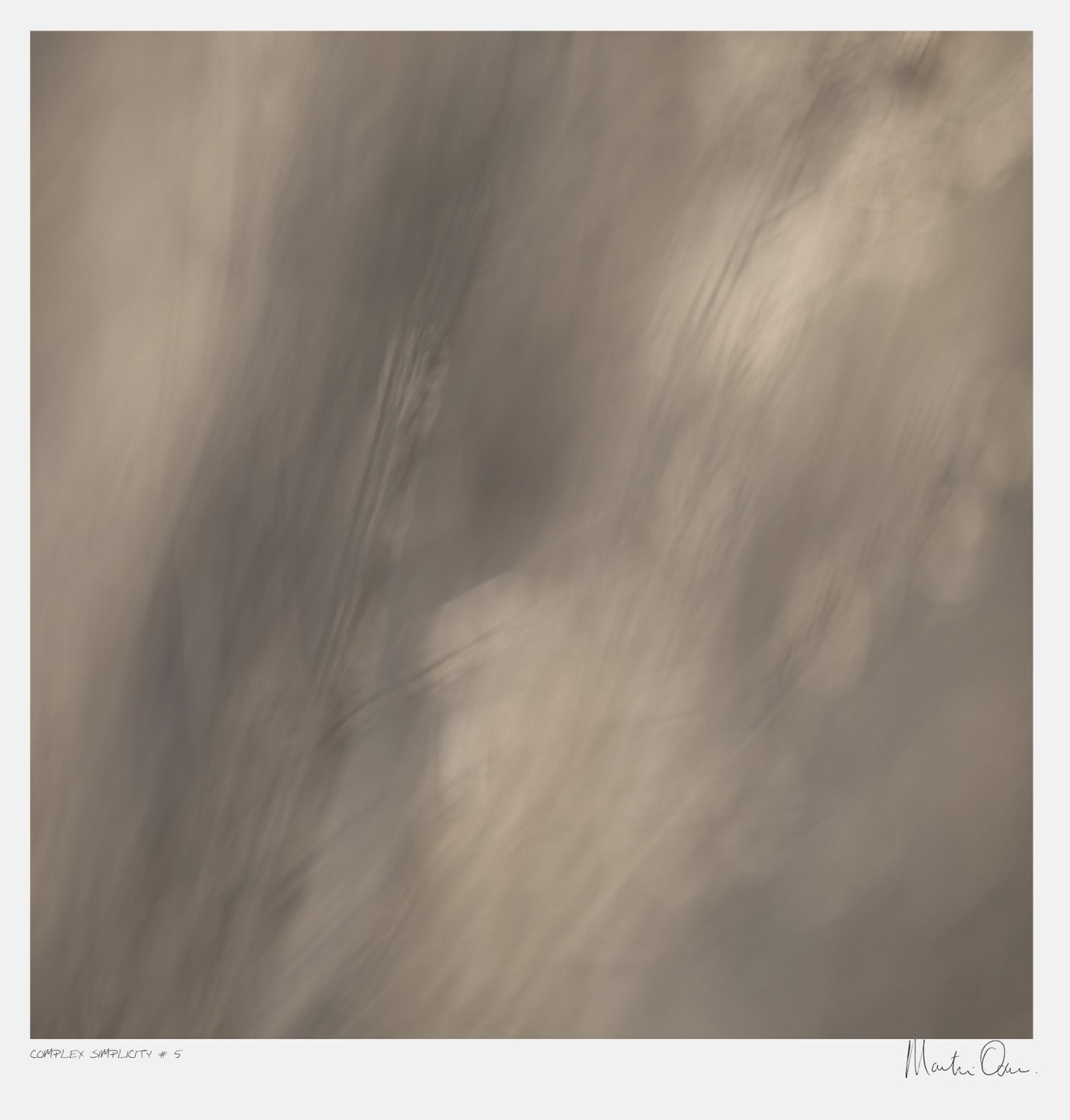 After the Fire No.5 | Martin Osner After the Fire No.5 | Martin Osner