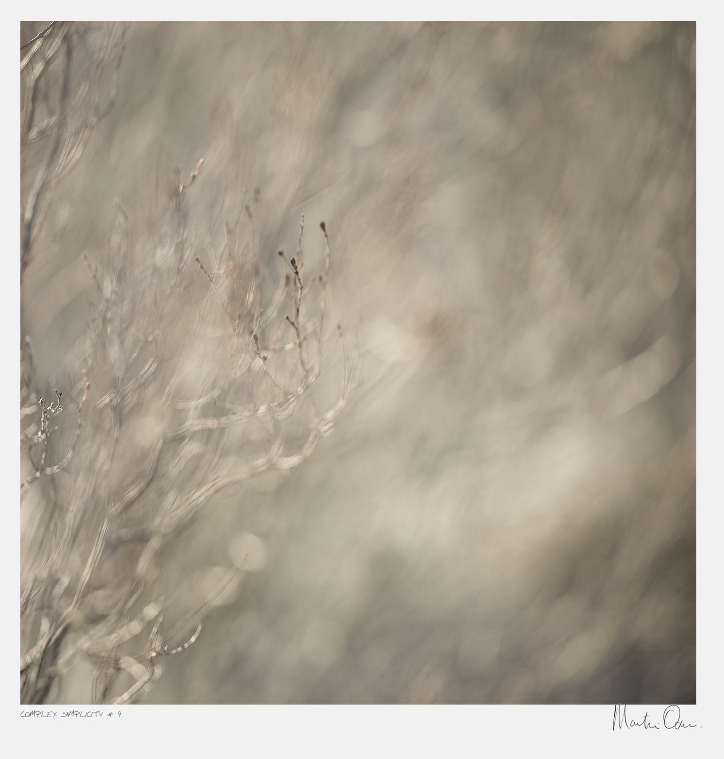 After the Fire No.9 | Martin Osner After the Fire No.9 | Martin Osner