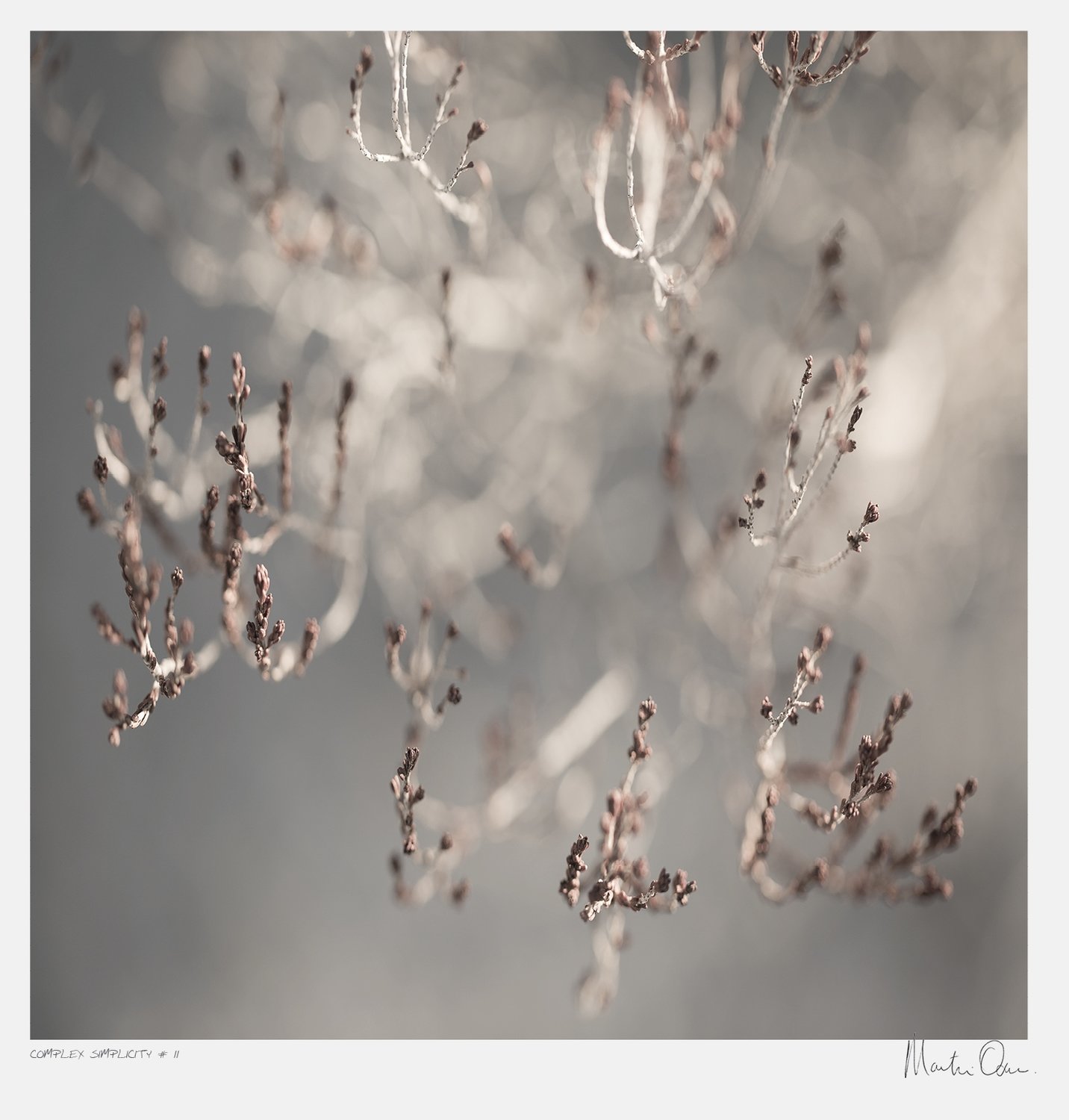 After the Fire No.11 | Martin Osner After the Fire No.11 | Martin Osner