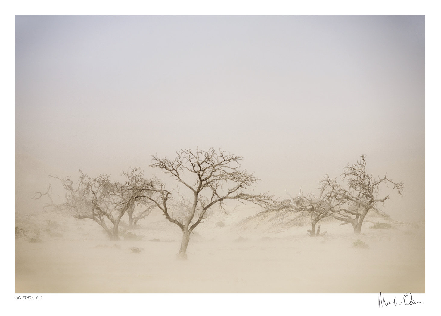 Solitary No.1 | Martin Osner Solitary No.1 | Martin Osner