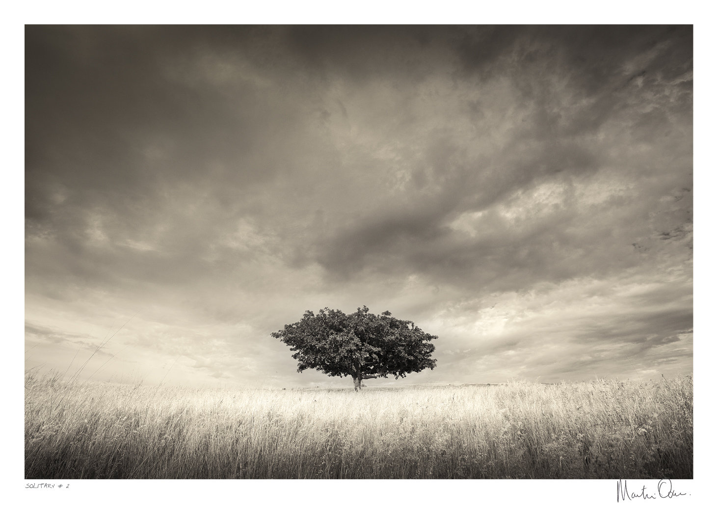 Solitary No.2 | Martin Osner Solitary No.2 | Martin Osner