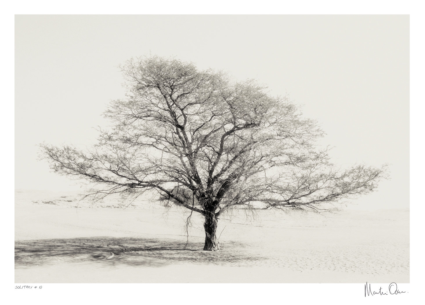 Solitary No.10 | Martin Osner Solitary No.10 | Martin Osner