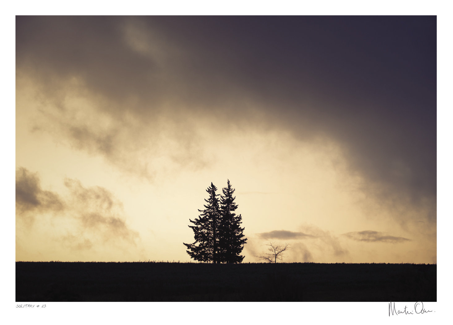 Solitary No.23 | Martin Osner Solitary No.23 | Martin Osner