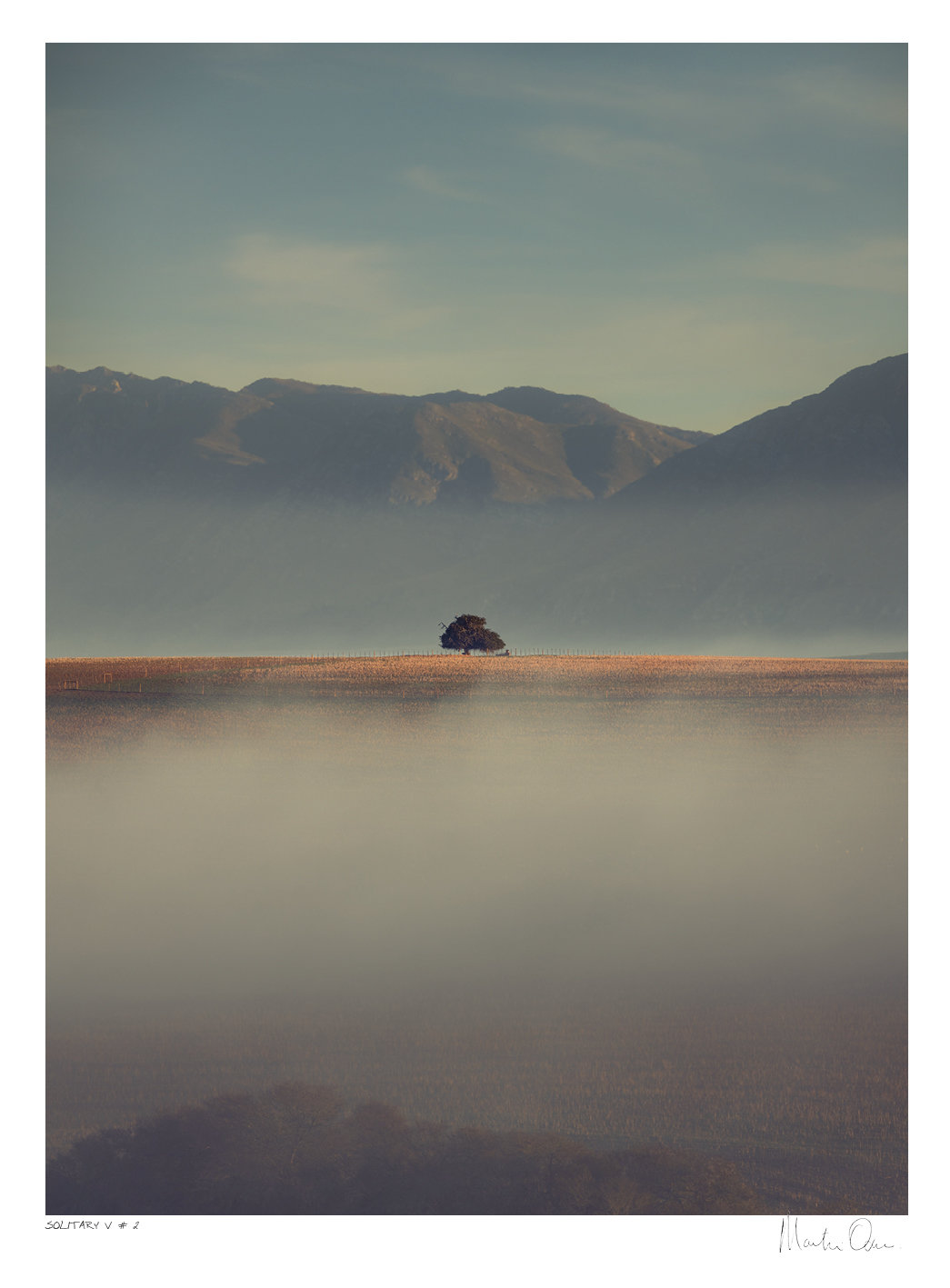 Solitary Vertical Collection No.1 | Martin Osner Solitary Vertical Collection No.1 | Martin Osner