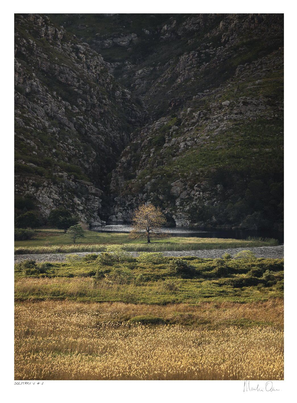 Solitary Vertical Collection No.2 | Martin Osner Solitary Vertical Collection No.2 | Martin Osner