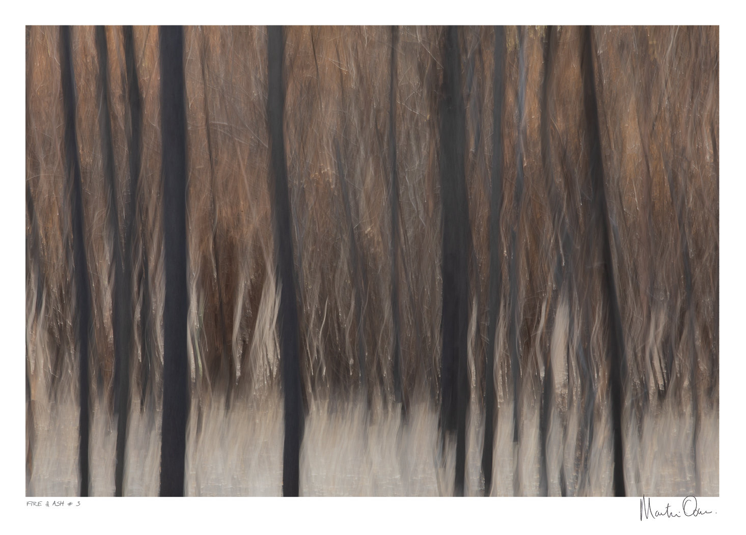 Fire and Ash No.3 | Martin Osner Fire and Ash No.3 | Martin Osner