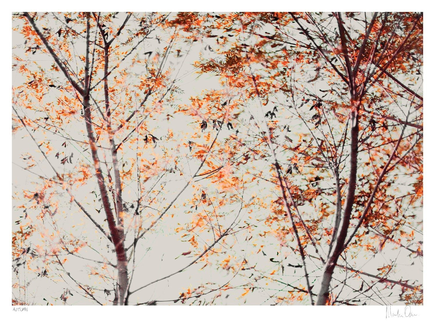 Autumn | Martin Osner Autumn | Martin Osner