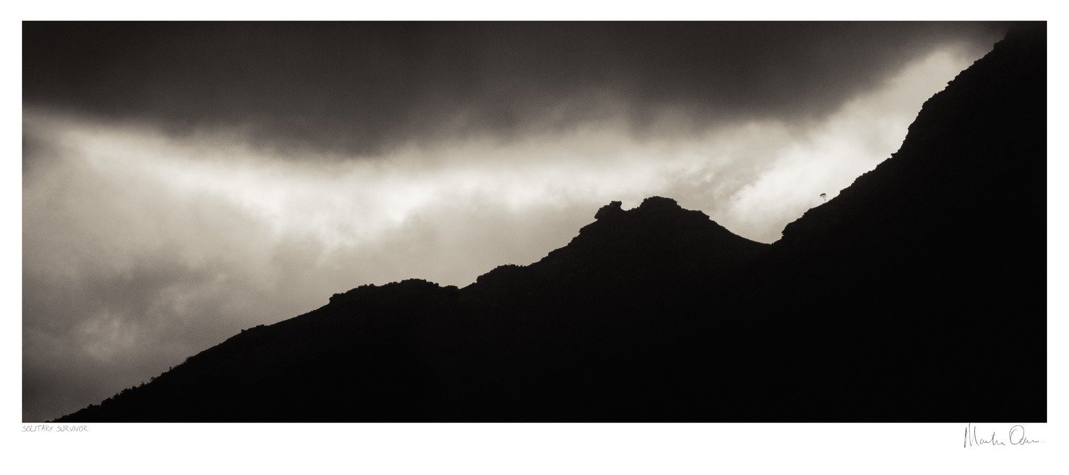 Classic Cape Town | Solitary Survivor | Martin Osner Classic Cape Town | Solitary Survivor | Martin Osner