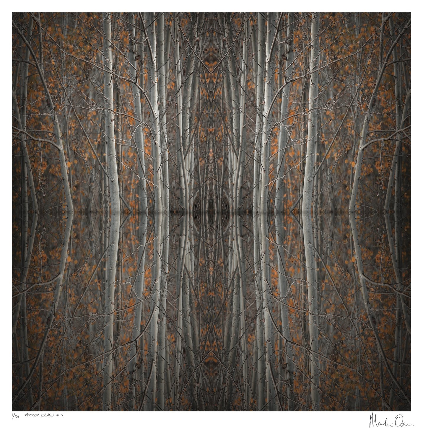 Mirror Island No.4 | Edition 50 | Martin Osner Mirror Island No.4 | Edition 50 | Martin Osner
