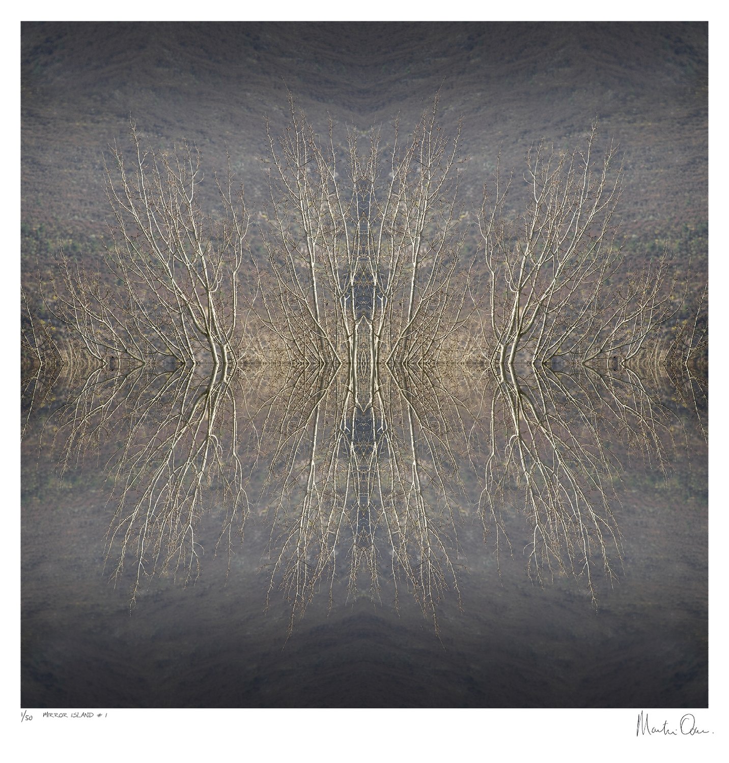 Mirror Island No.1 | Edition 50 | Martin Osner Mirror Island No.1 | Edition 50 | Martin Osner