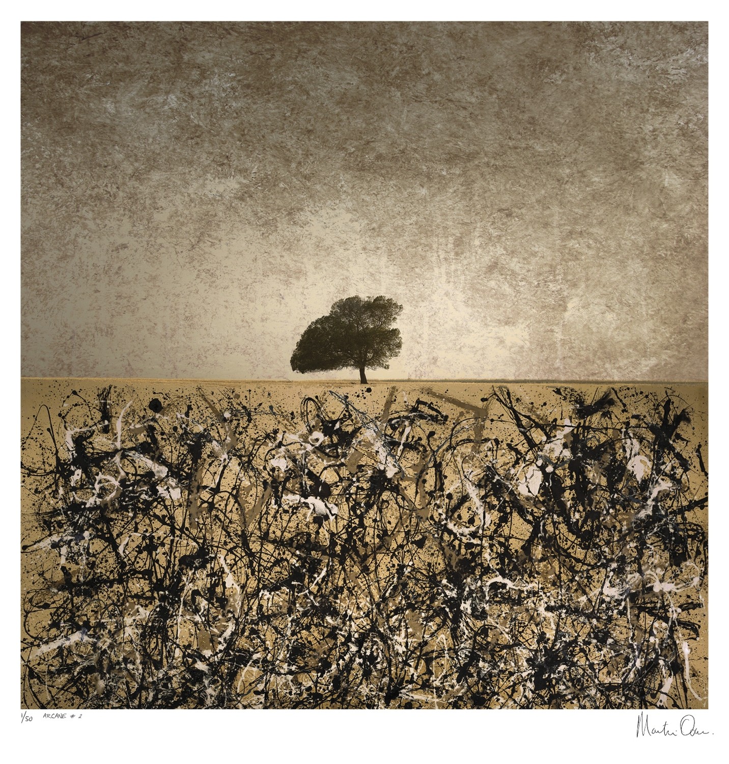 Arcane No.2 | Limited 50 | Martin Osner Arcane No.2 | Limited 50 | Martin Osner