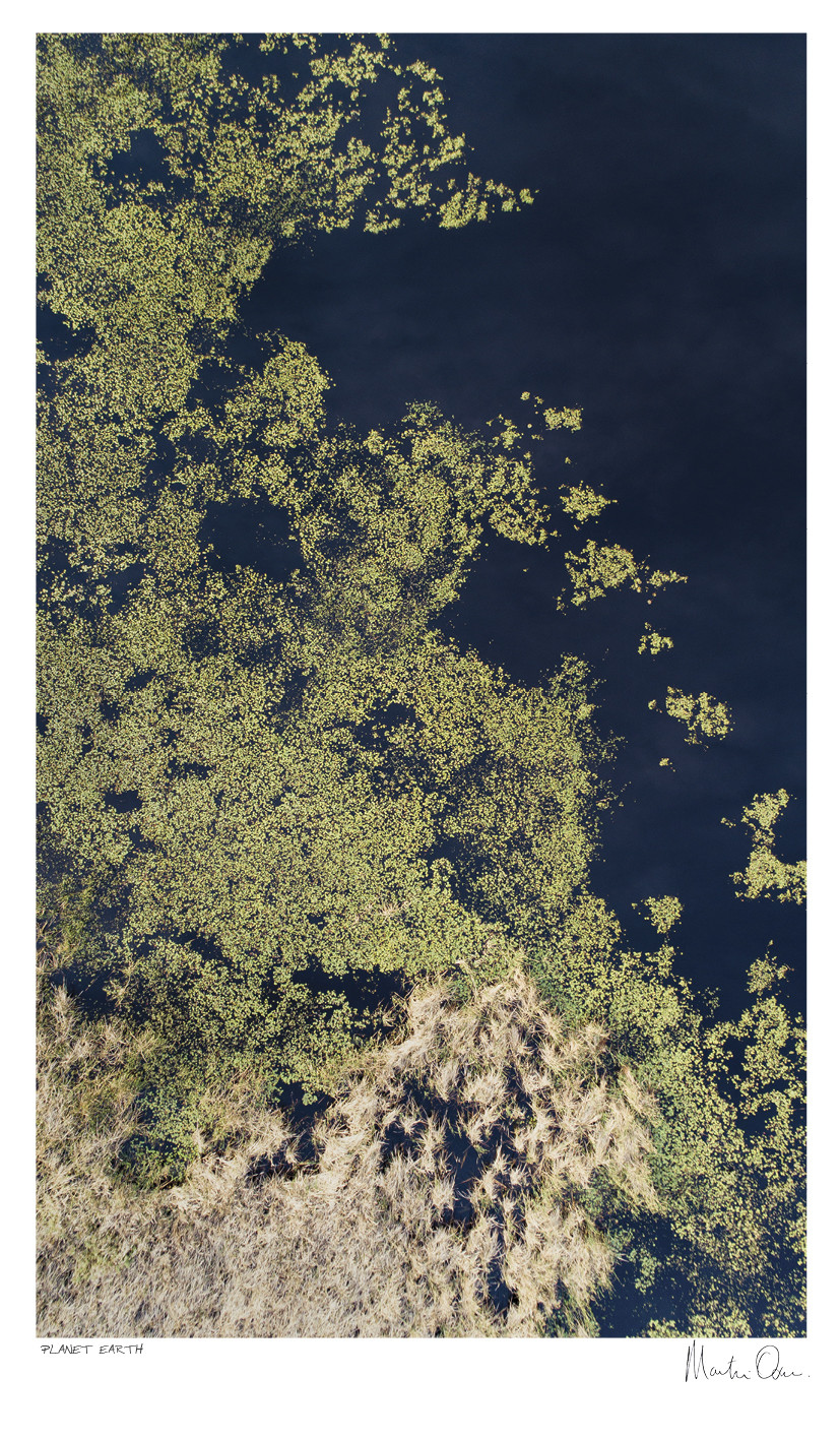 From Above | Marsh Design | Martin Osner From Above | Marsh Design | Martin Osner