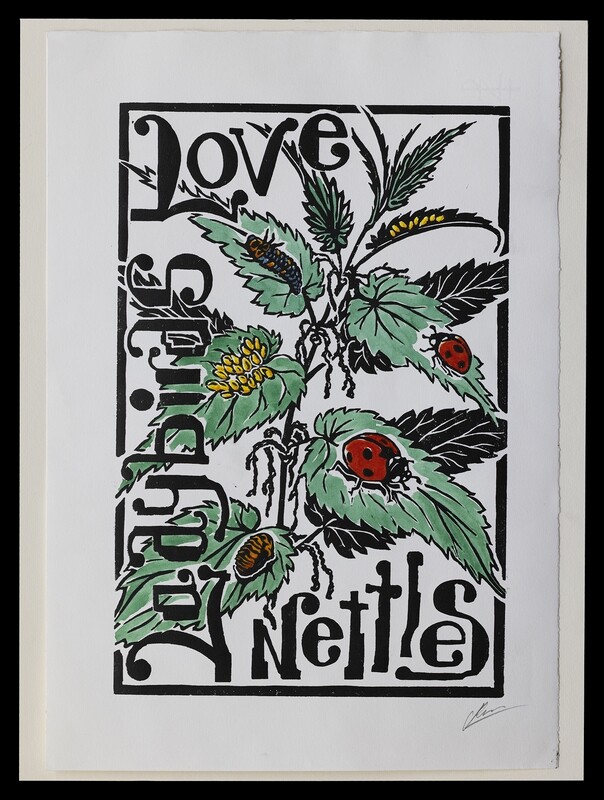 Ladybirds Love Nettles