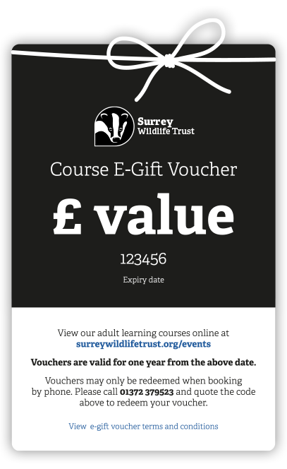 Wildlife Course E-Gift Voucher