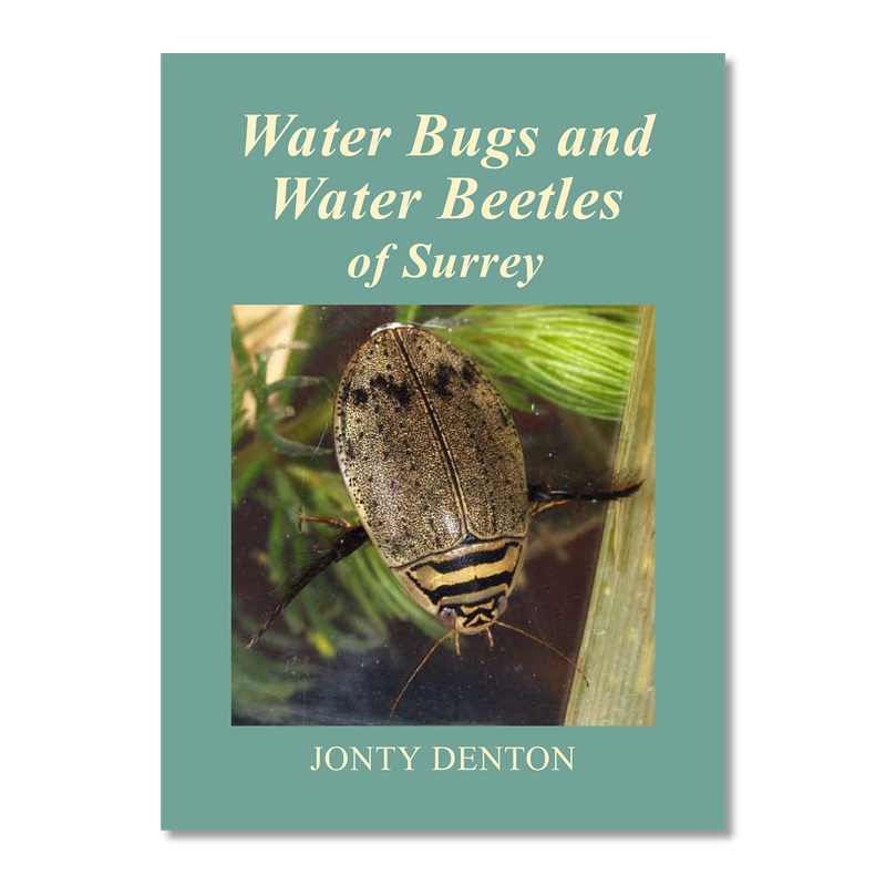 Water Bugs &amp; Water Beetles of Surrey