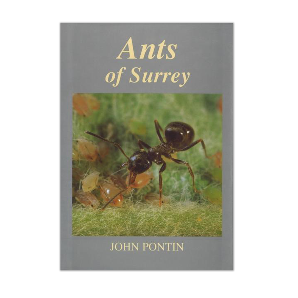 Ants of Surrey