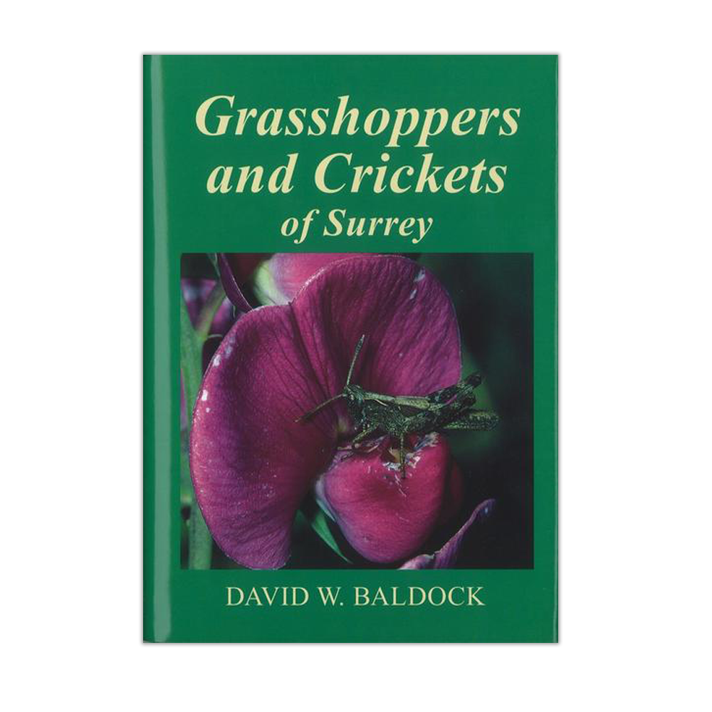 Grasshoppers and Crickets of Surrey