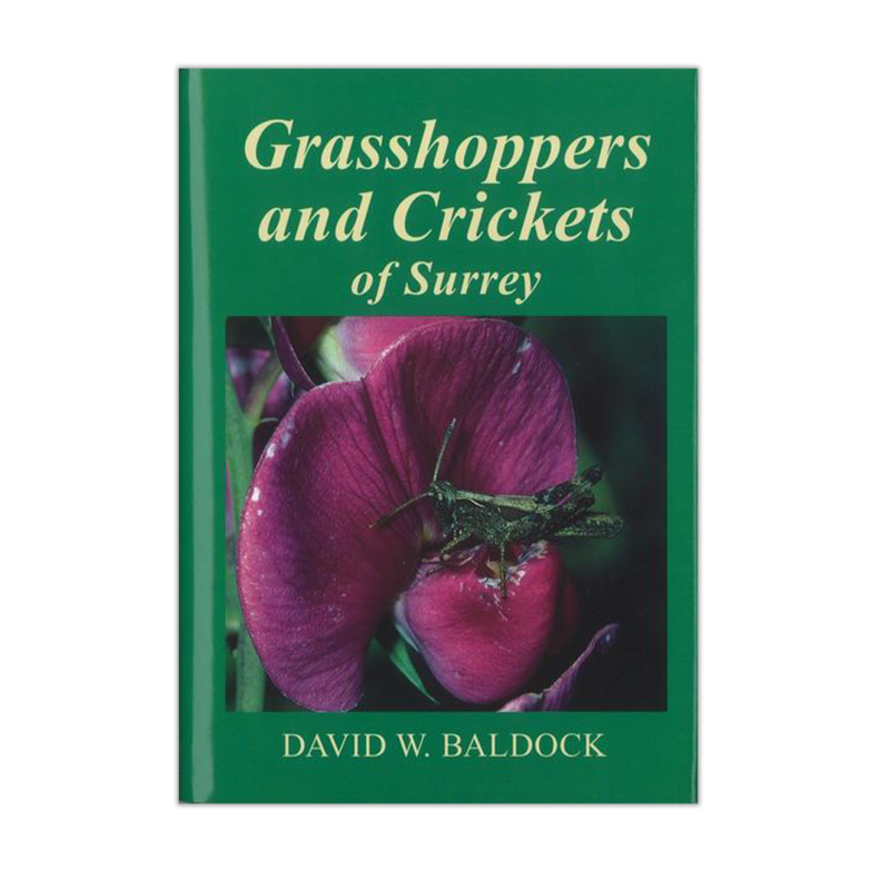Grasshoppers and Crickets of Surrey