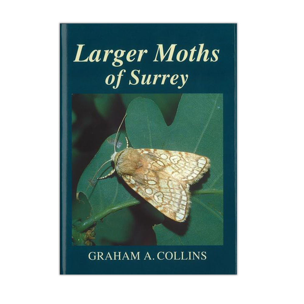 Larger Moths of Surrey