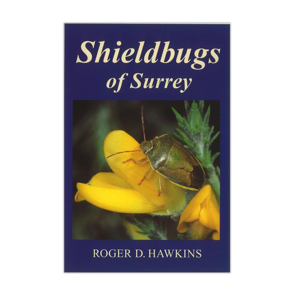 Shieldbugs of Surrey