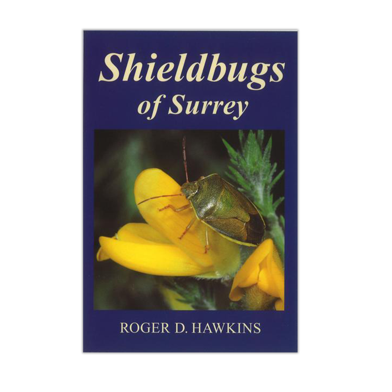 Shieldbugs of Surrey