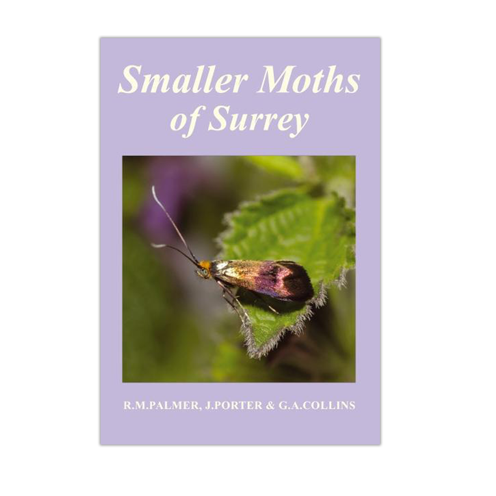 Smaller Moths of Surrey