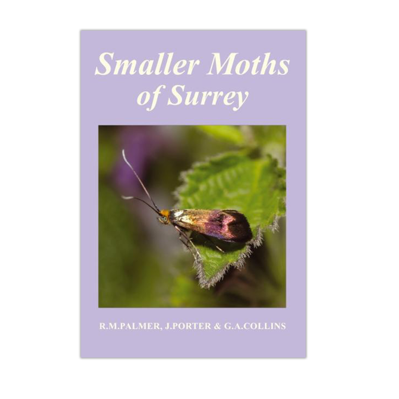 Smaller Moths of Surrey