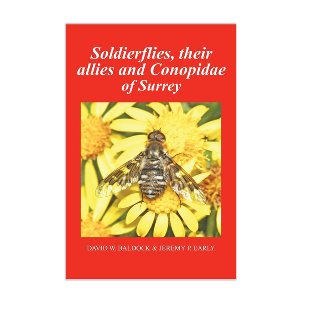 Soldierflies, their allies and Conopidae of Surrey