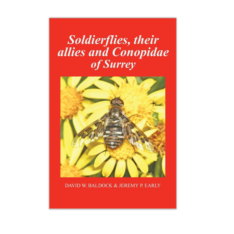 Soldierflies, their allies and Conopidae of Surrey