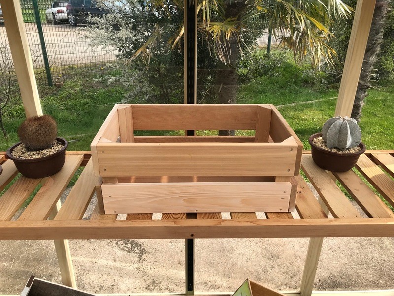 Fruit Crate Single