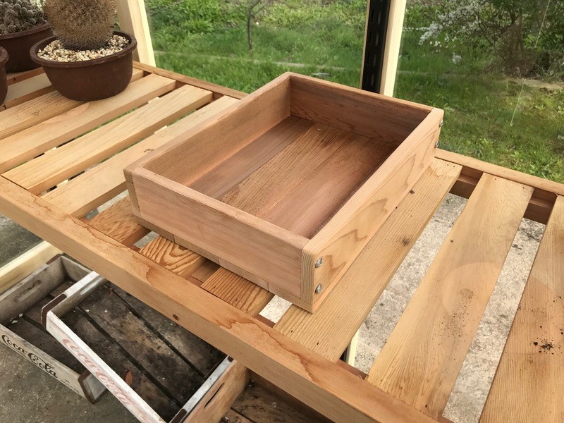 Seed Tray Single