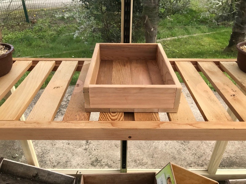 Seed Tray Single