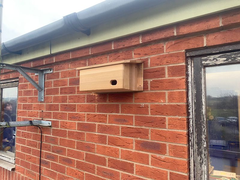 Swift Nest Boxes