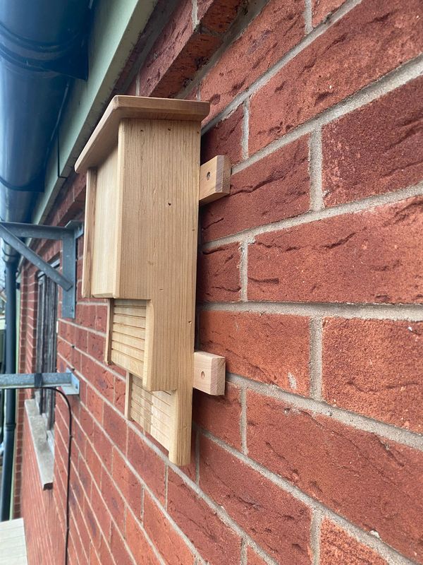 Bat Boxes
