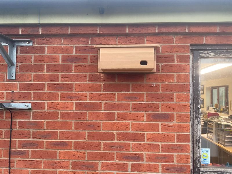 Swift Nest Boxes