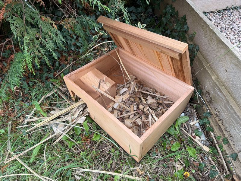 Hedgehog Hotel