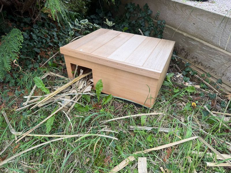 Hedgehog Hotel