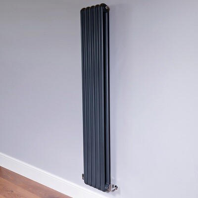 Cassius Vertical Radiator