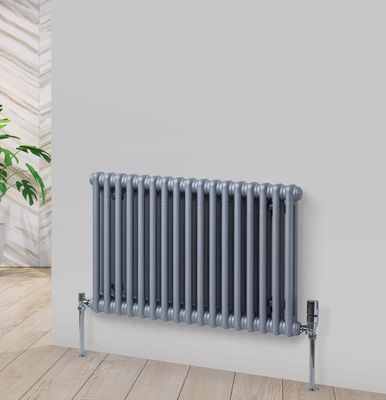 Fitzrovia Horizontal 2 Column Radiator in Colour