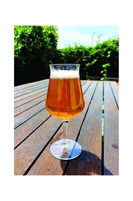 Saison All grain recipe kit    5.4%