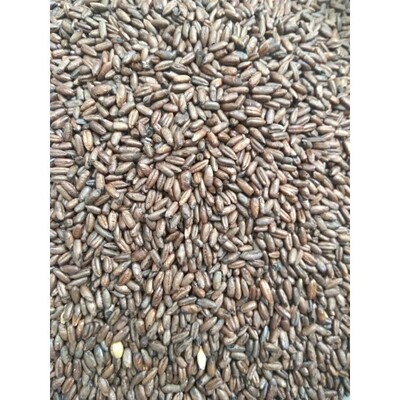 Chocolate Rye Malt (6.50 per kg)