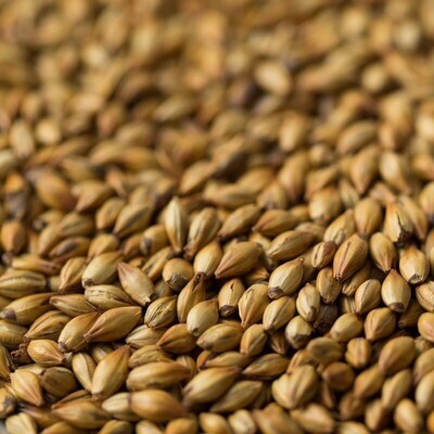 Light Crystal Malt ($5.45per kg)