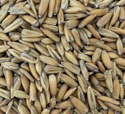 Golden Oat Malt (1kg - $5.95)