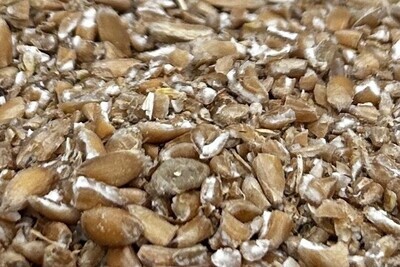 Raw Spelt ($7.60 per kg)