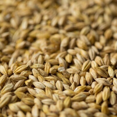 Sour Grapes Malt ($7.10 per kg)