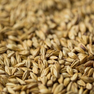 Toffee Malt ($5.41 per kg)