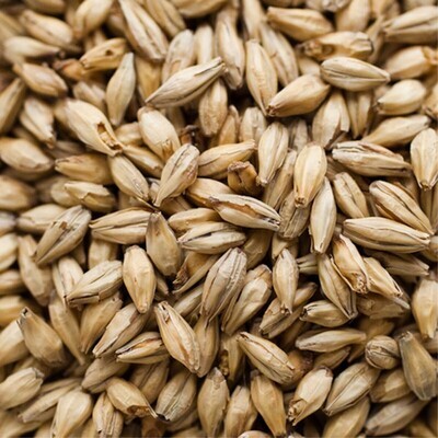 Vienna Malt ($4.95 per kg)