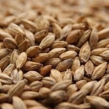 Weyermann Vienna Malt from Germany $5.75 per kg